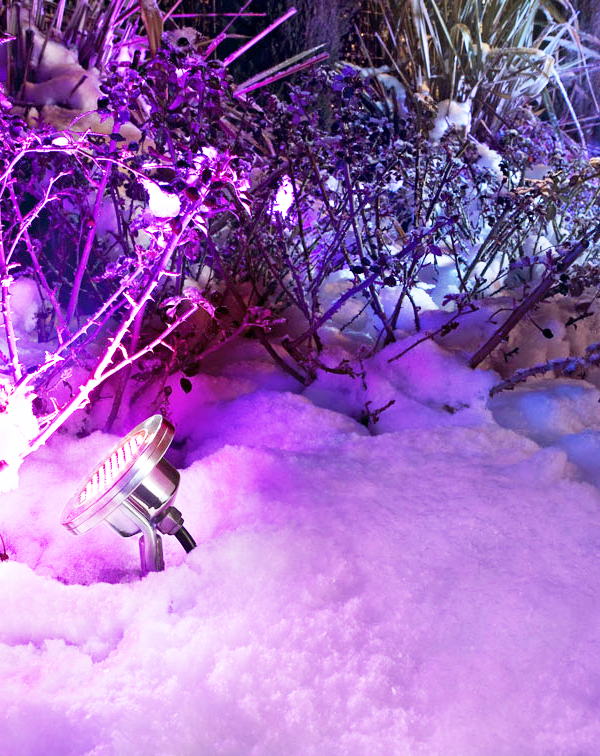 LUCE DIFFONDENTE O CONCENTRATA?