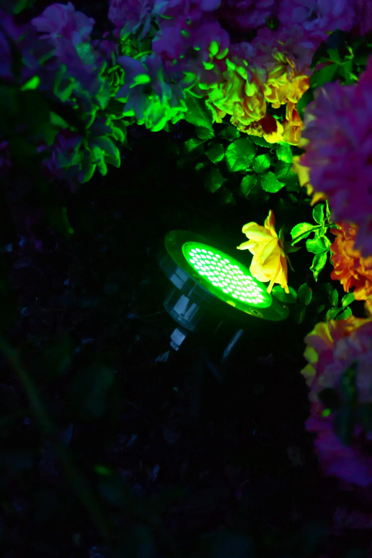 LUXLED FARETTI PER GIARDINO